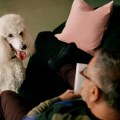 Pet Insurance for Senior Dogs: How to Protect Your Aging Pet