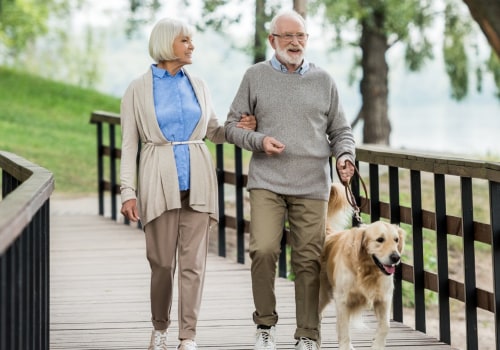 Coverage Options and Benefits for Aging Pets: How to Protect Your Senior Dog's Health